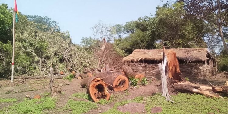 Hivernage à Télimélé : des vents violents isolent des villages entiers