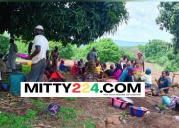 À Kourouba, une association d’entraide agricole voit le jour