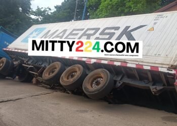 Un camion transportant des poissons se renverse sur une cour à Dixinn : pas de pertes en vies humaines