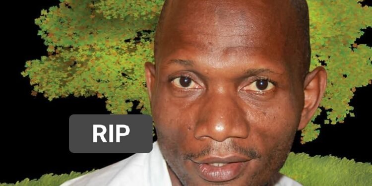 Le cinéma guinéen en deuil : décès du comédien «Mon Directeur»